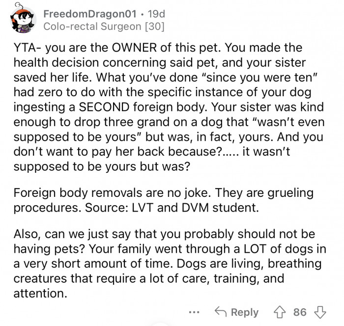 Redditor Refuses To Pay Her Sister Back The 3k She Paid For Her Dog's