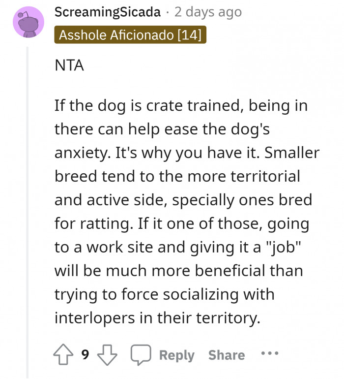 Woman Puts Her Husband’s Aggressive Dog In The Kennel While Her Sister