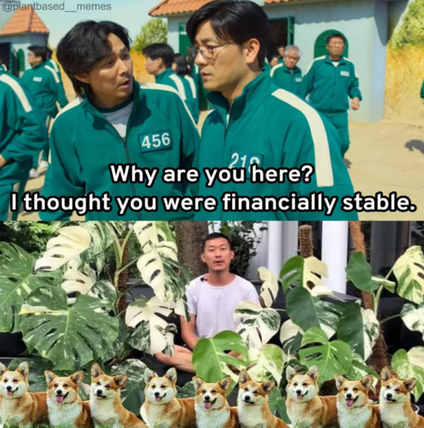 40 Witty Memes For People Who Love Their Plants More Than They Love