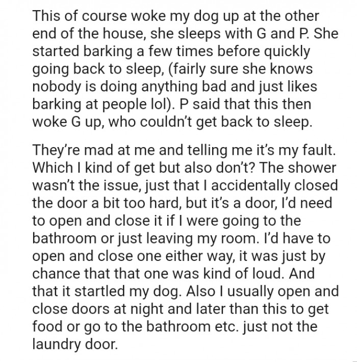 Redditor's Decision To Shower Late At Night Causes Their Dog To Bark Which Woke Up Everyone In