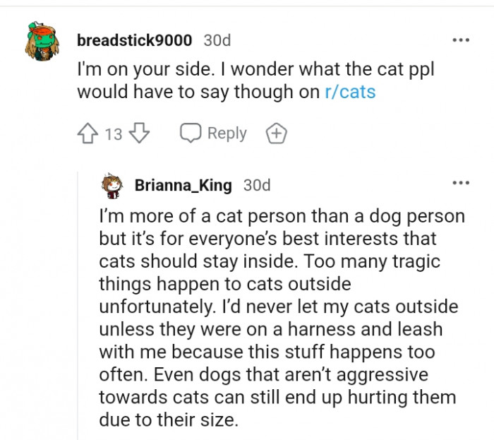 Dispute Ensues As A Redditor's Dogs Kills The Neighbor’s Cat In A