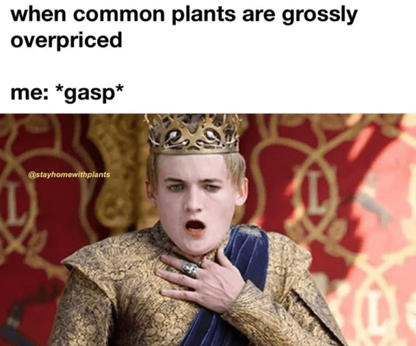 40 Witty Memes For People Who Love Their Plants More Than They Love