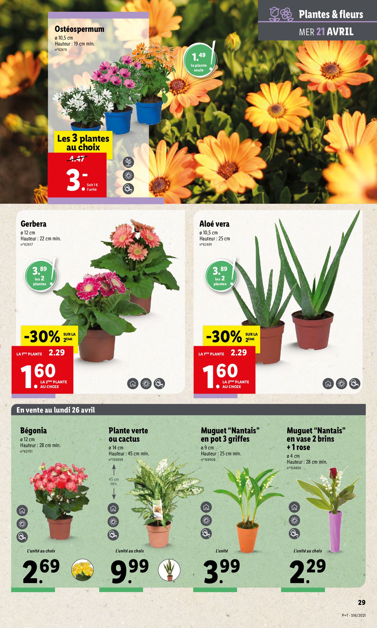 Lidl Catalogue 21.04 27.04.2021 (Page 31) Rabato