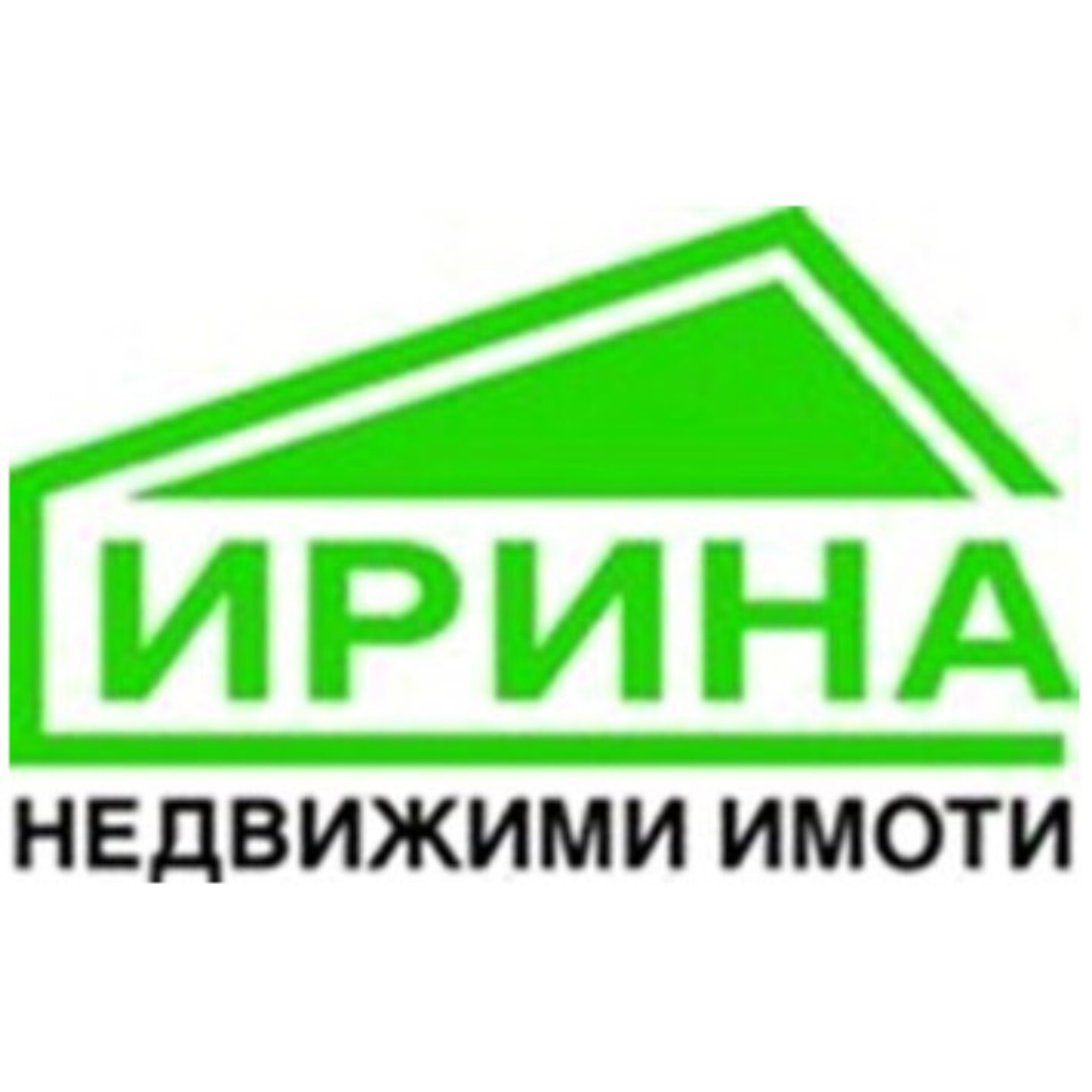 Irina real estate agency listings and contacts Realistimo