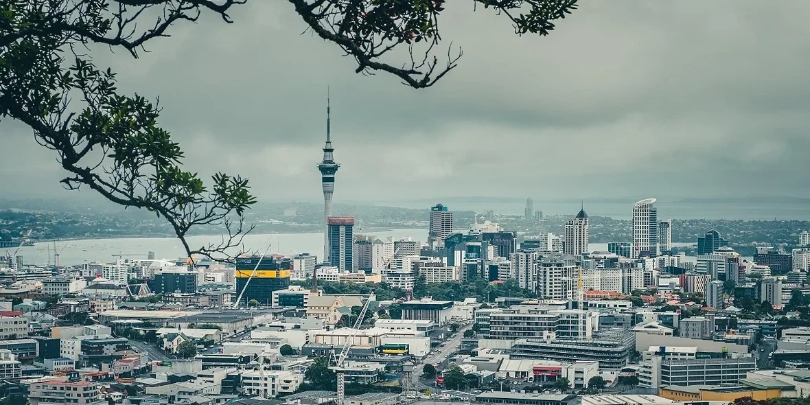 Latest analysis of the housing market in New Zealand