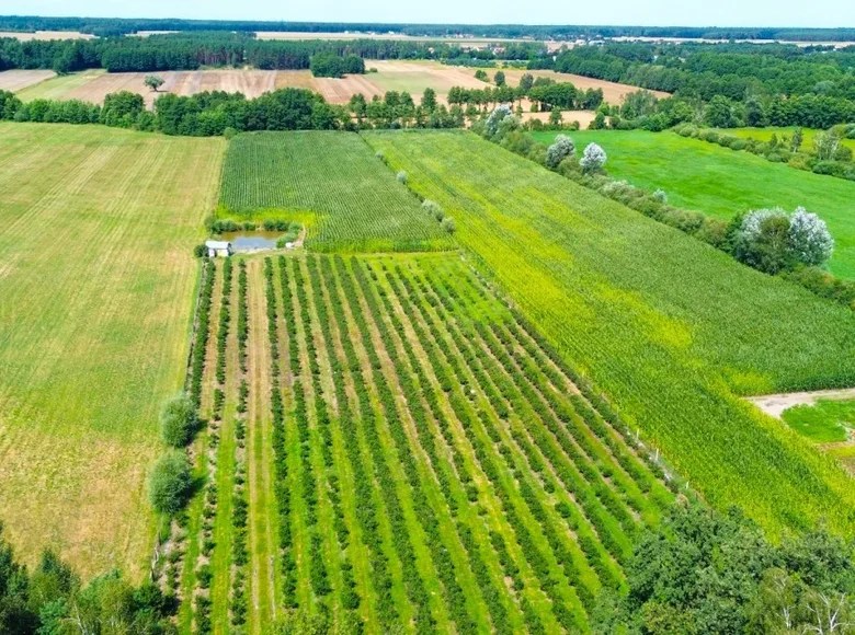 Land for sale in Radzewice, Poland for €95,458 listing 3263285