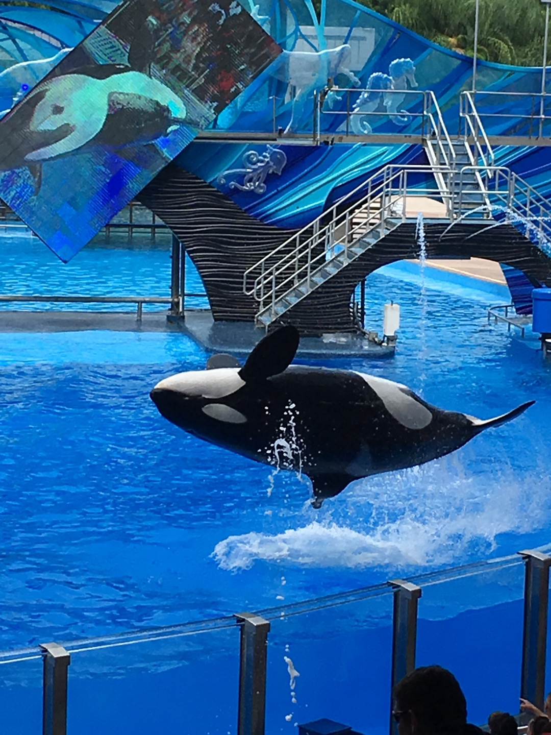 SeaWorld Orlando Tickets Discount Tickets to SeaWorld