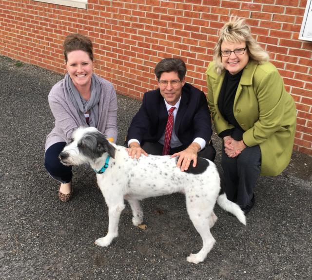 Madison County Animal Shelter edging closer to nokill status