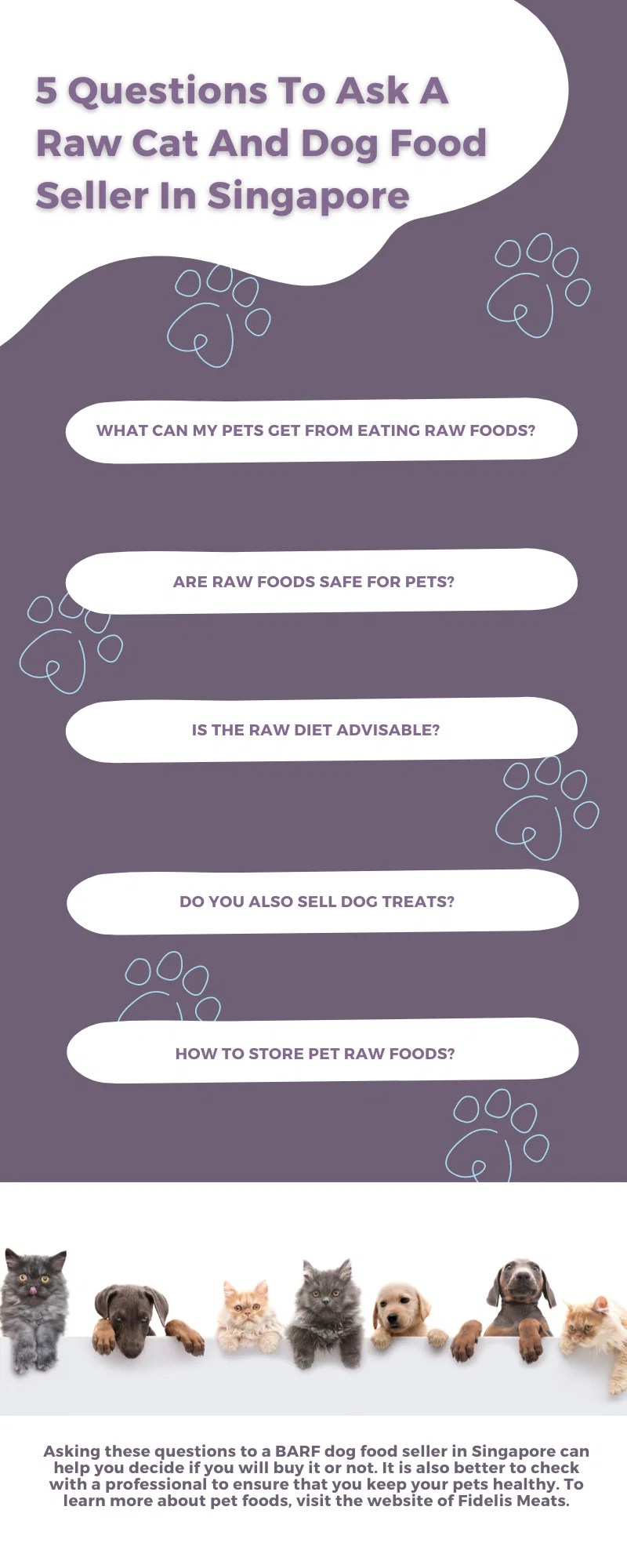 5 Questions To Ask A Raw Cat And Dog Food Seller In Singapore