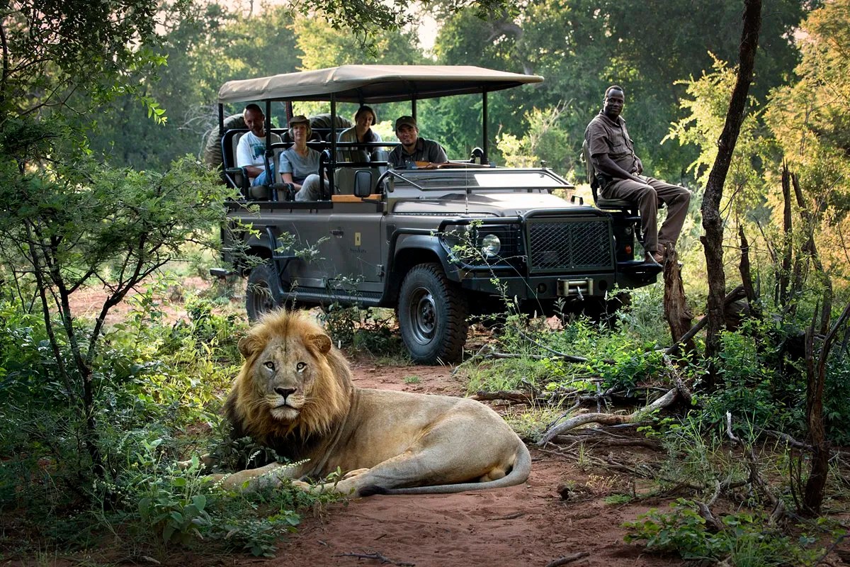 Masai Mara Safari Packages From USA Top Choice For Immersive Wildlife