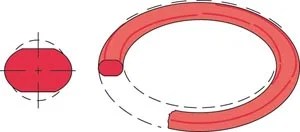 How to Recognize and Avoid the Common Causes of O-ring Failure - HLE