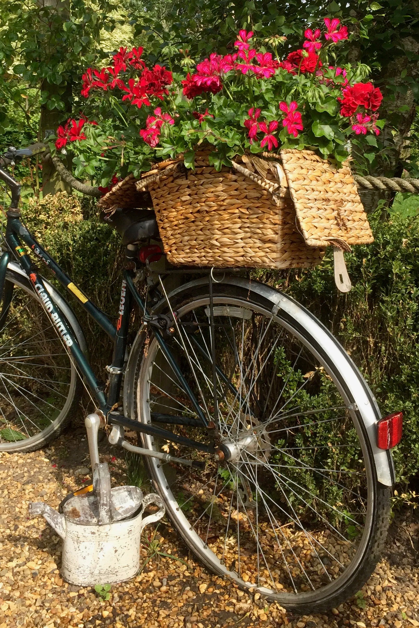 Second Hand Rose LDC