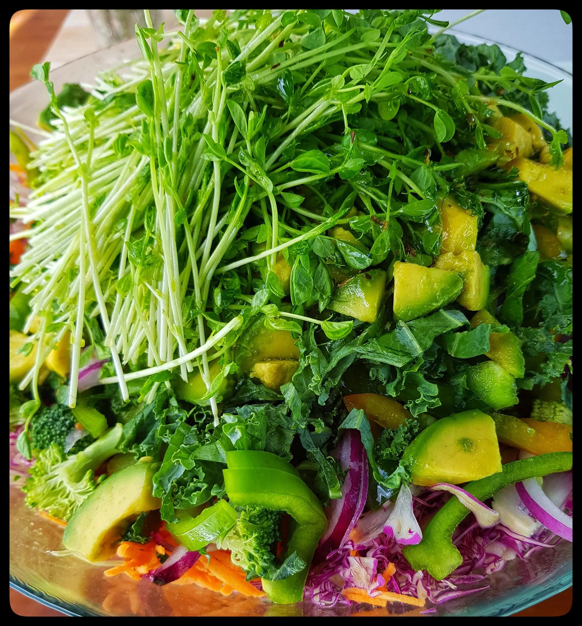 Boxed Salad Catering