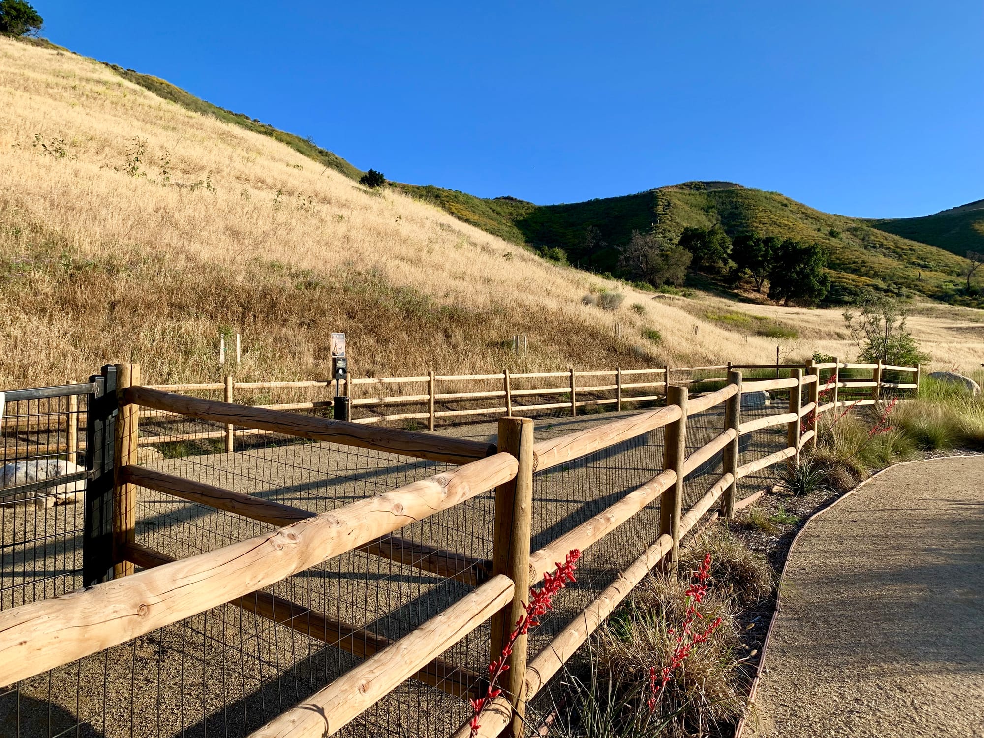 The Best Dog Parks in Santa Clarita Groom and Play