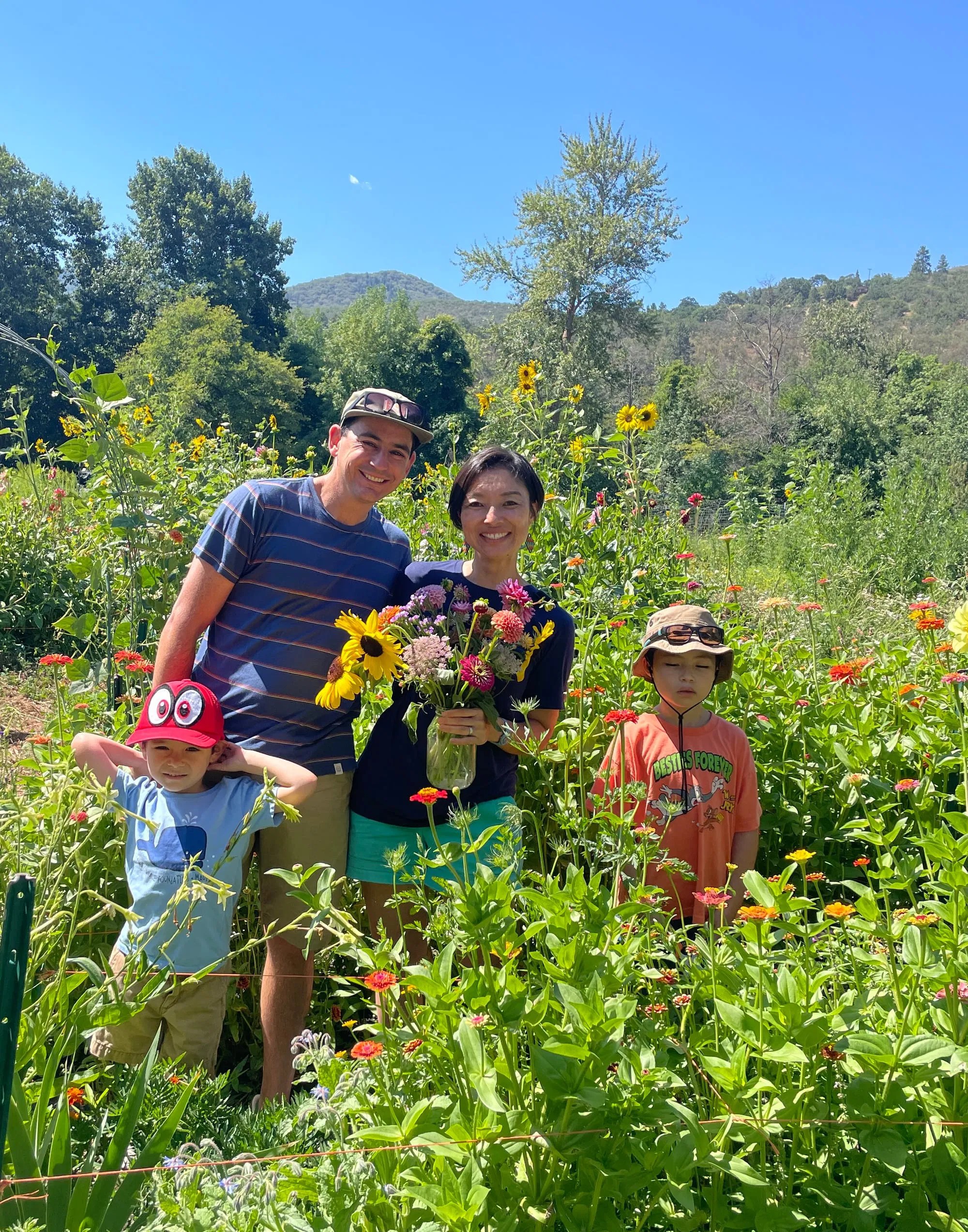 Fields Flowers Ashland Ky Best Flower Site