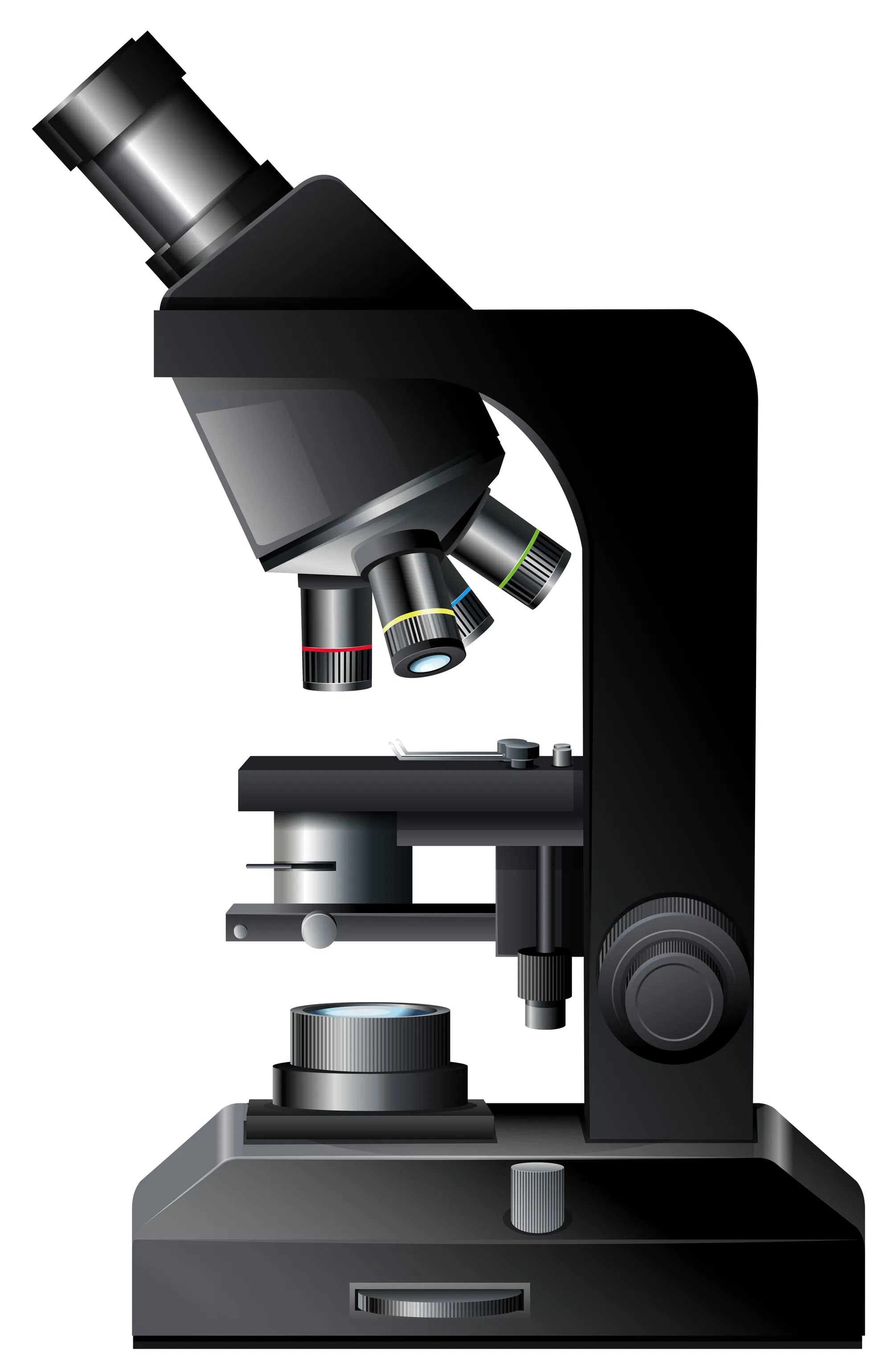 Microscopes: How Do They Work? - Scientist Next Door