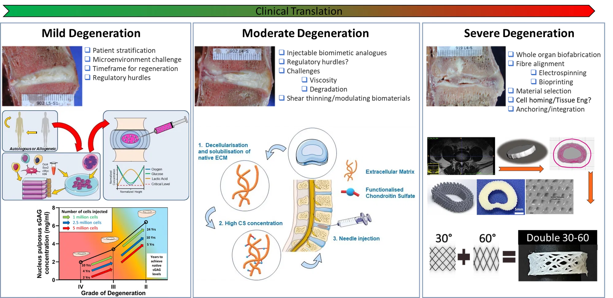 Intervertebral Disc Regeneration Buckley Lab