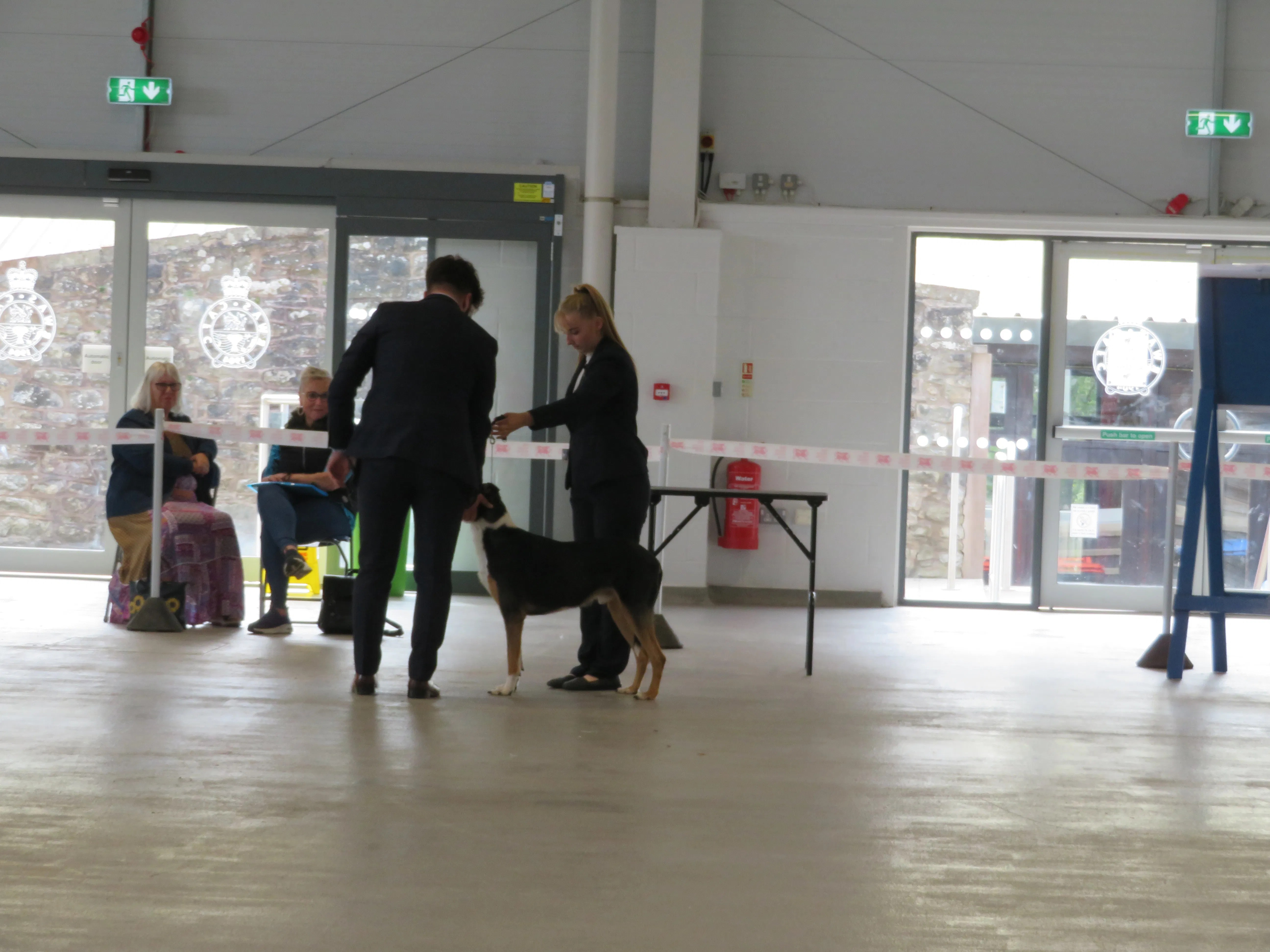 Welsh Kennel champ show CAPRIOARA OMORDHA