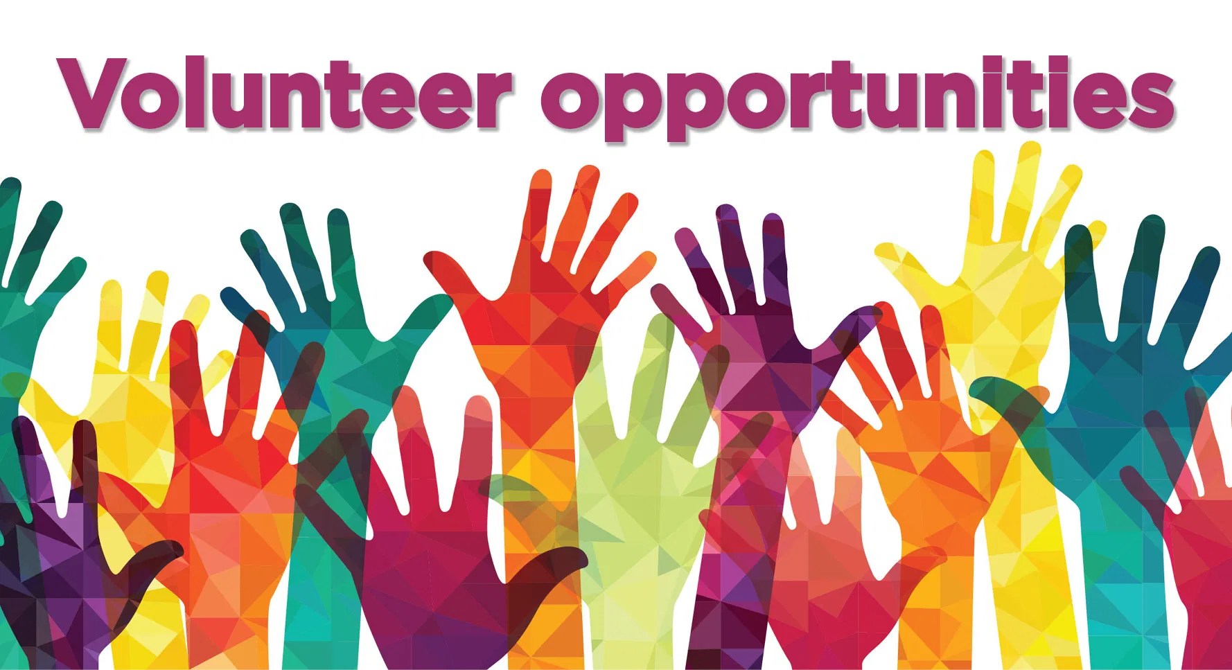 Volunteer opportunities Mountain View Elementary CSprings PTA