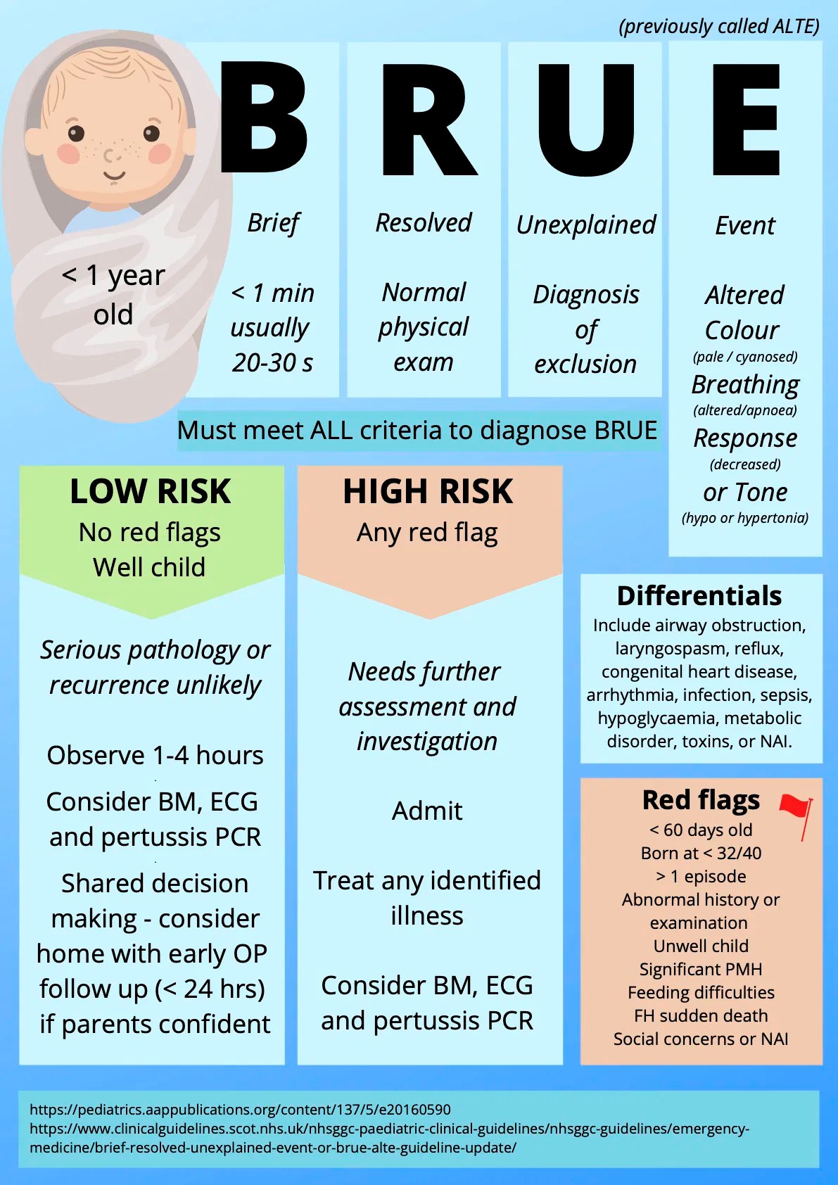 BRUE PEM Infographics