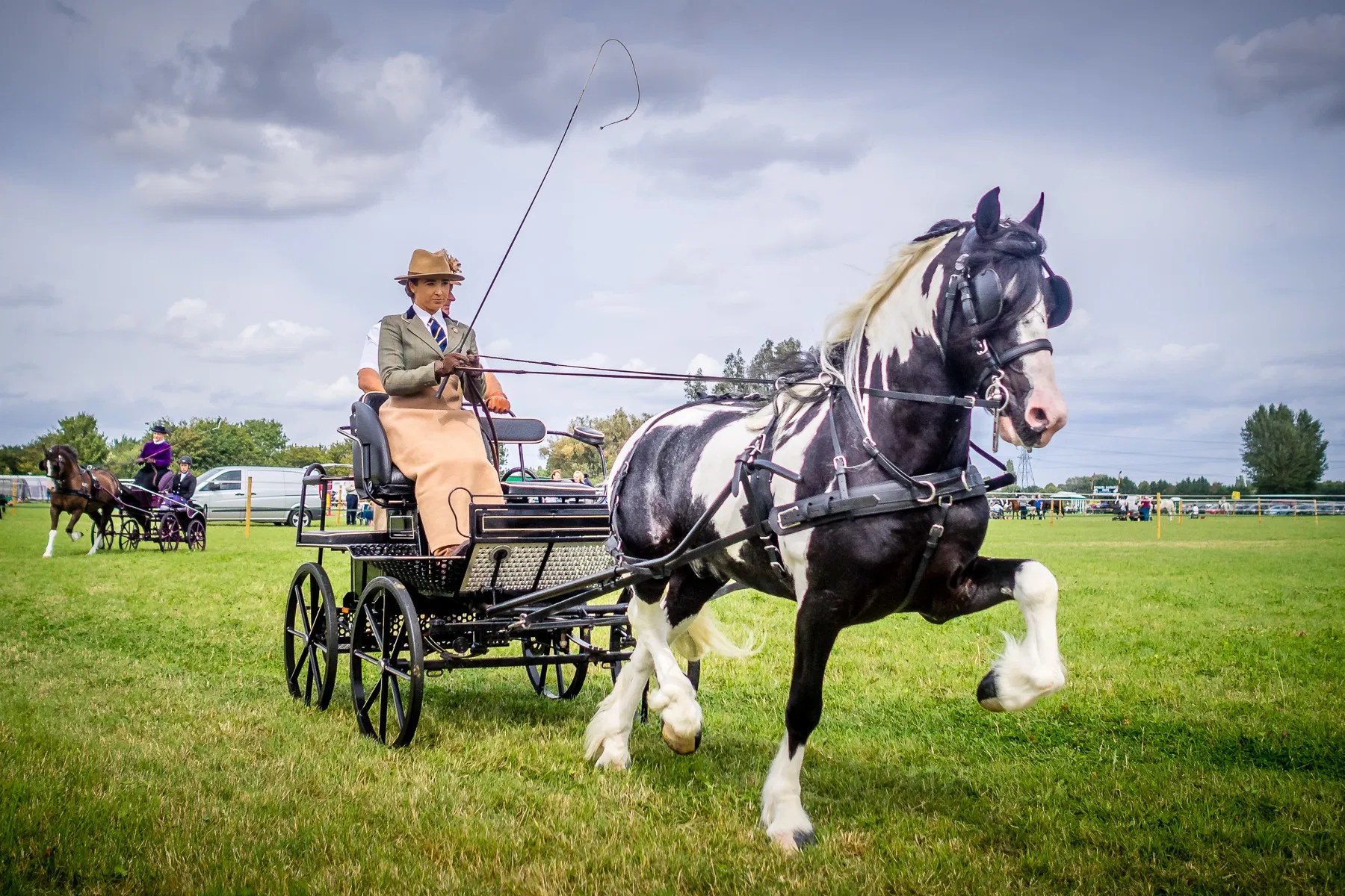 Light Horse Driving Chertsey Agricultural Show