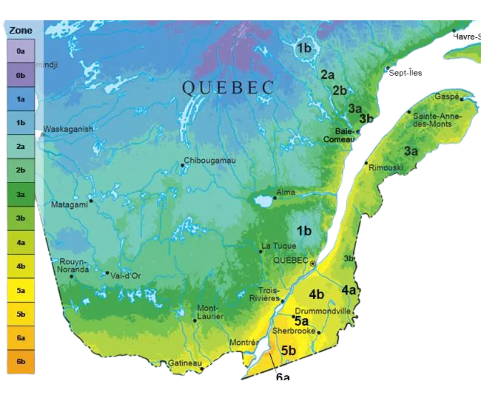 Découvrez votre zone de rusticité!