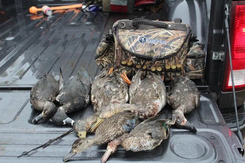 Gallery Copper Creek Outfitters and Kennel