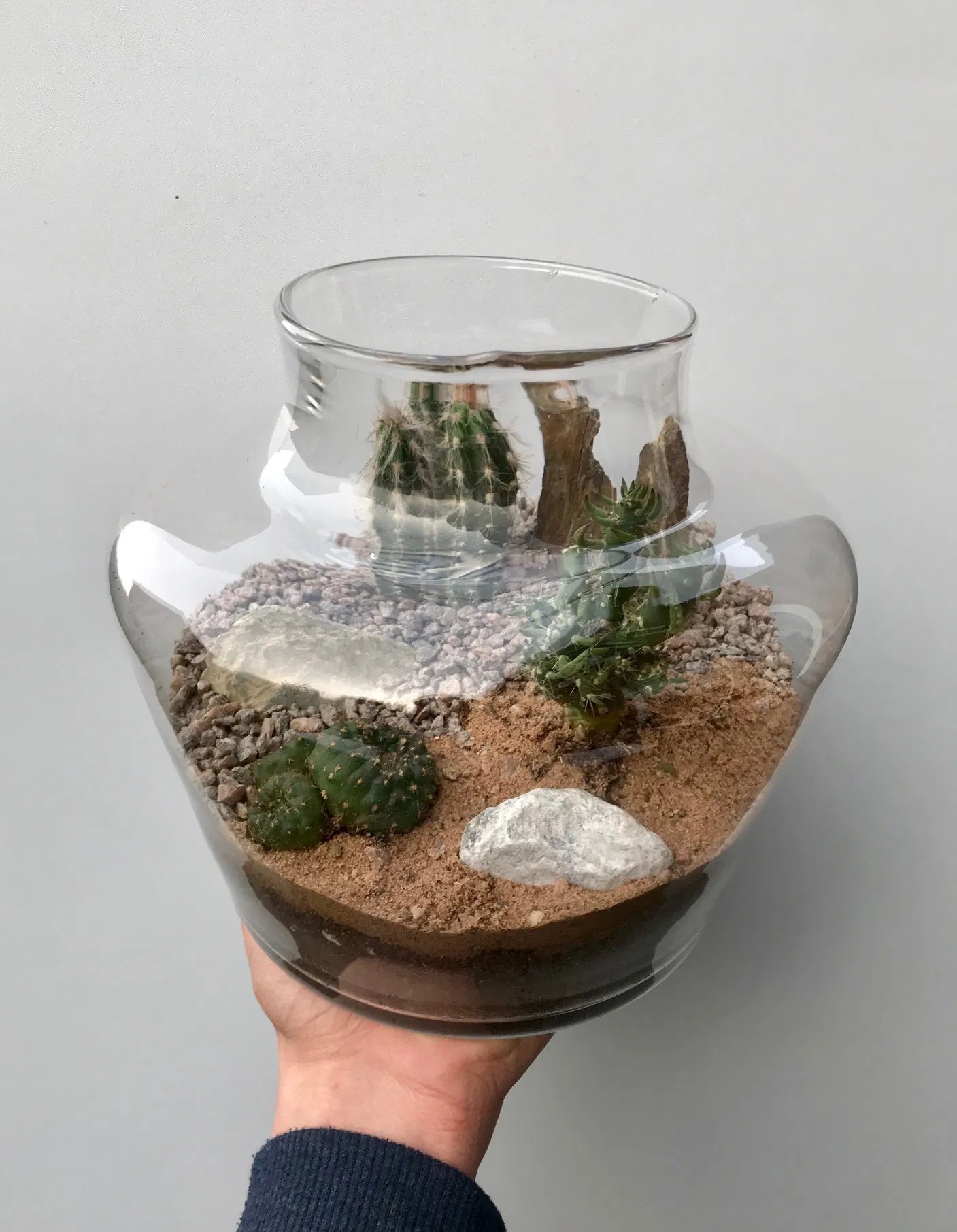 A Gallery of Terrarium Photos for Inspiration!