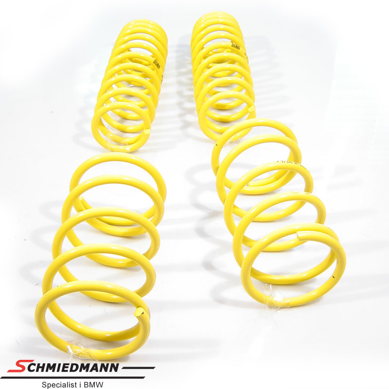 BMW E28 Lowering springs and sportsuspension kits for street cars