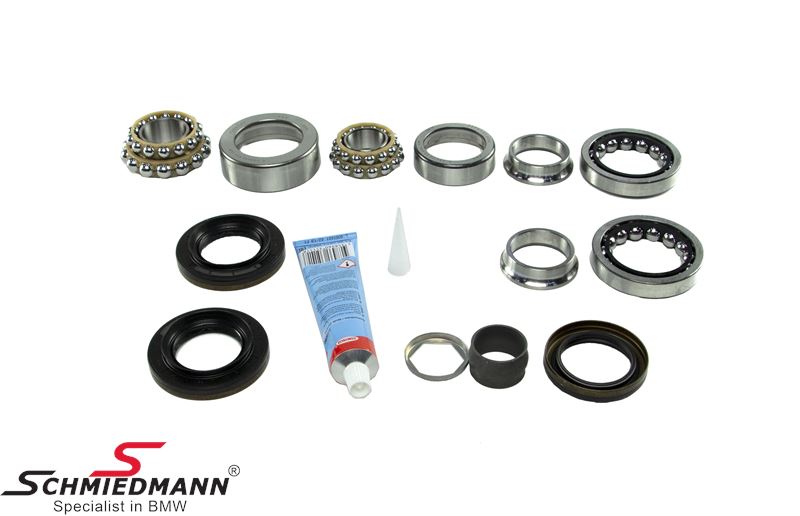 Differential/rear axle repair kit, diff. type 168L original LUK 462014710