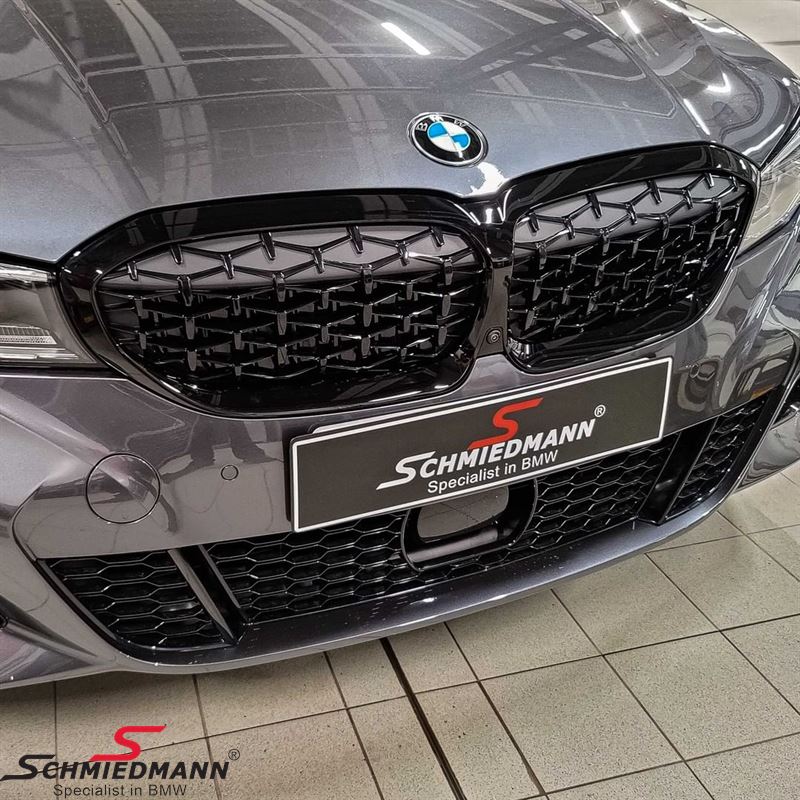 Kidneys ShadowLine high gloss black 51139448475, 51 13 9 448 475