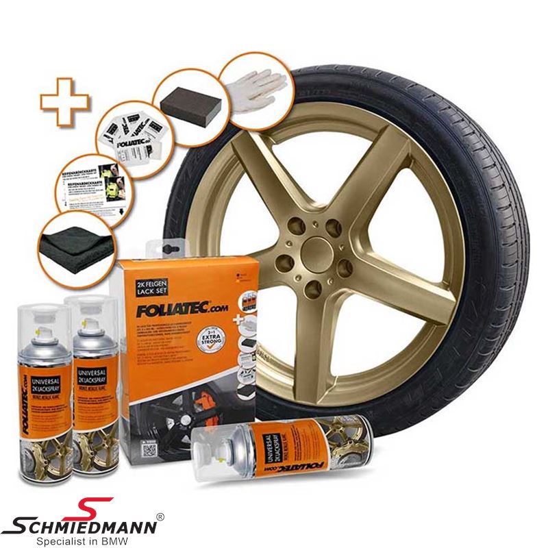 Foliatec 2C Rim Spray Paint Kit Brown metallic glossy 372002354