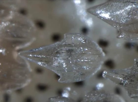 Ocean Acidification Could Eat Away at Sharks' Teeth and Scales