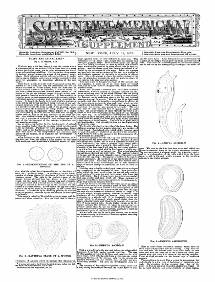 Alum in Baking Powders Scientific American