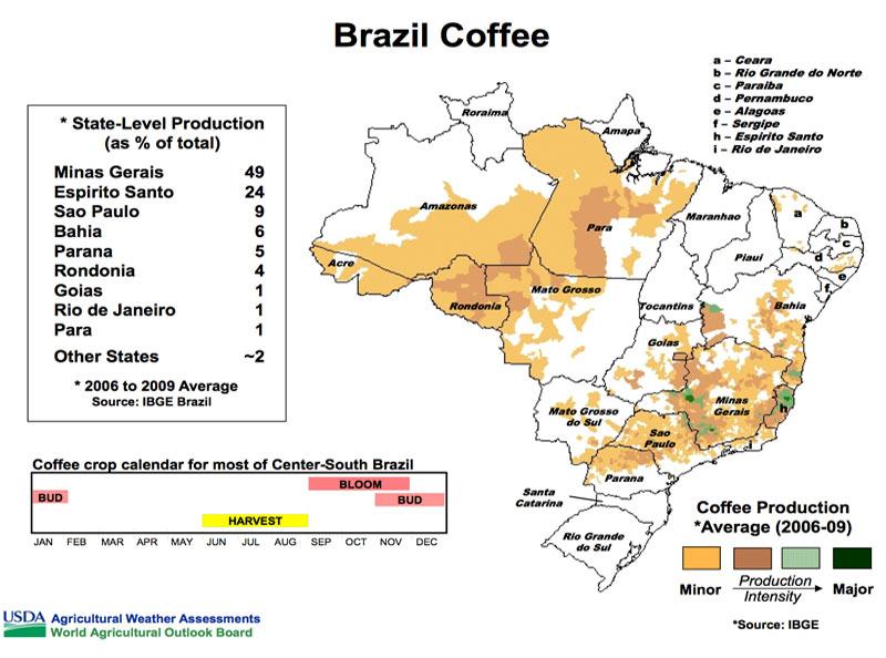 prediction Be discouraged Blink brazil coffee growing regions mainly