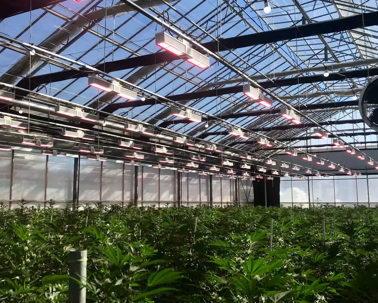 Takeaways From Touring Glass House Farms And The Farmacy Seeking Alpha