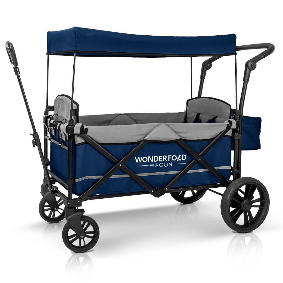 Best Stroller Wagon - Do You Need To Spend $900?