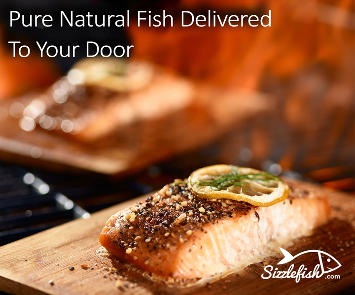 What Is The Best Tasting Fish? FULL Species List Ranked! • SaltwaterMecca