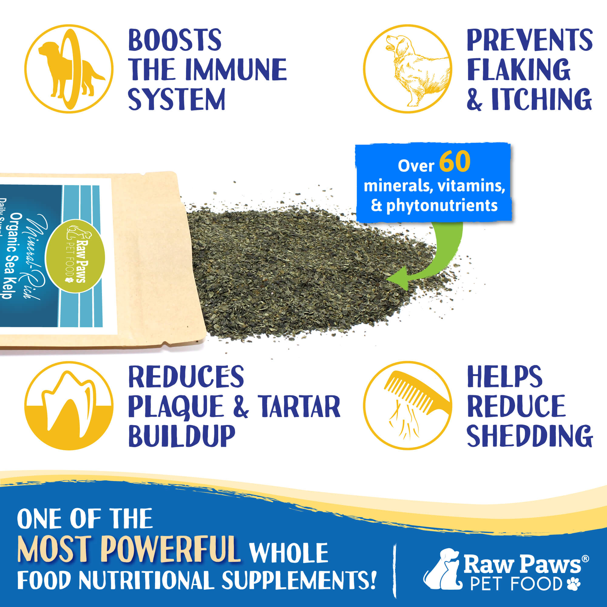 Organic Sea Kelp For Dogs An Immune System Booster (That Works!)