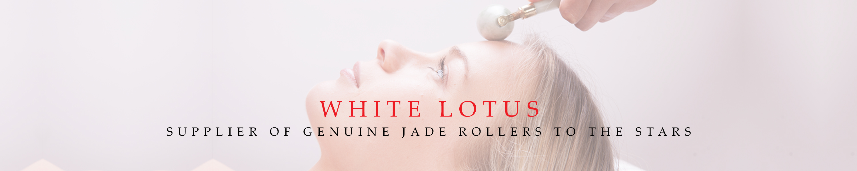 White Lotus Coupon Code and Promo Code 10 off [100 Tested]