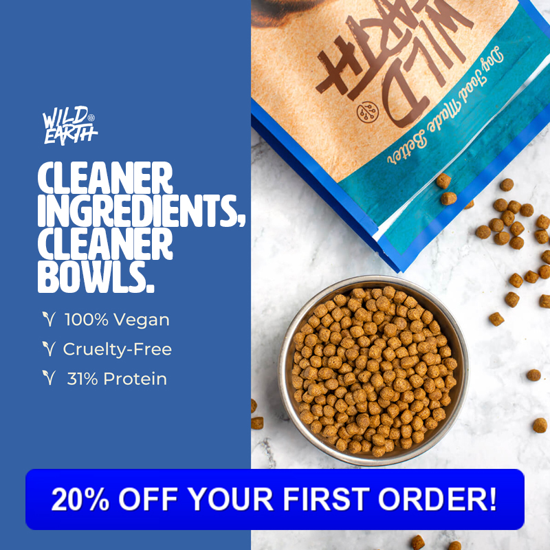 Can Dogs Be Vegan Vegan Dog Food