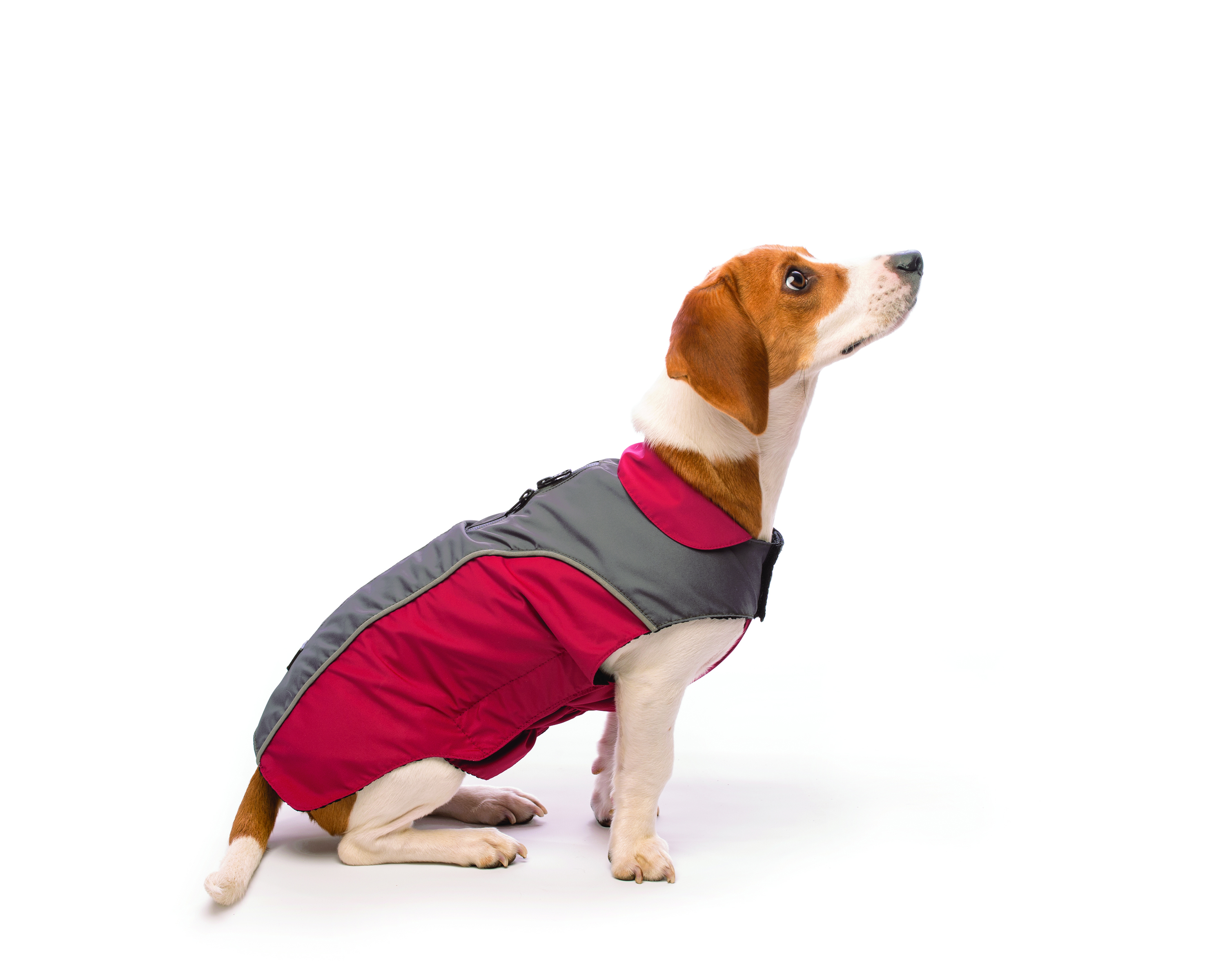 NanoBreaker RepelzIt Dog Coat available for small and large dogs
