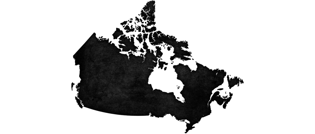 Raw Dog Food Suppliers Showit Blog