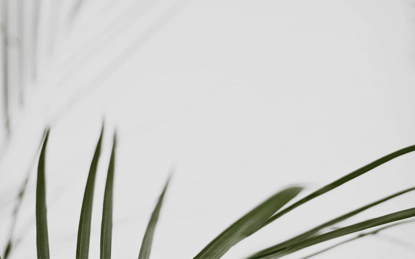 Services Template Services Template