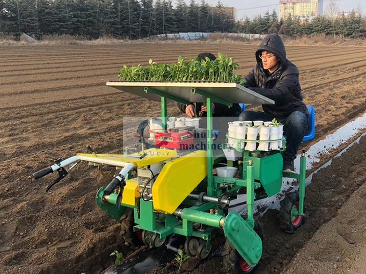 Selfpropelled transplanter machine vegetable transplanter