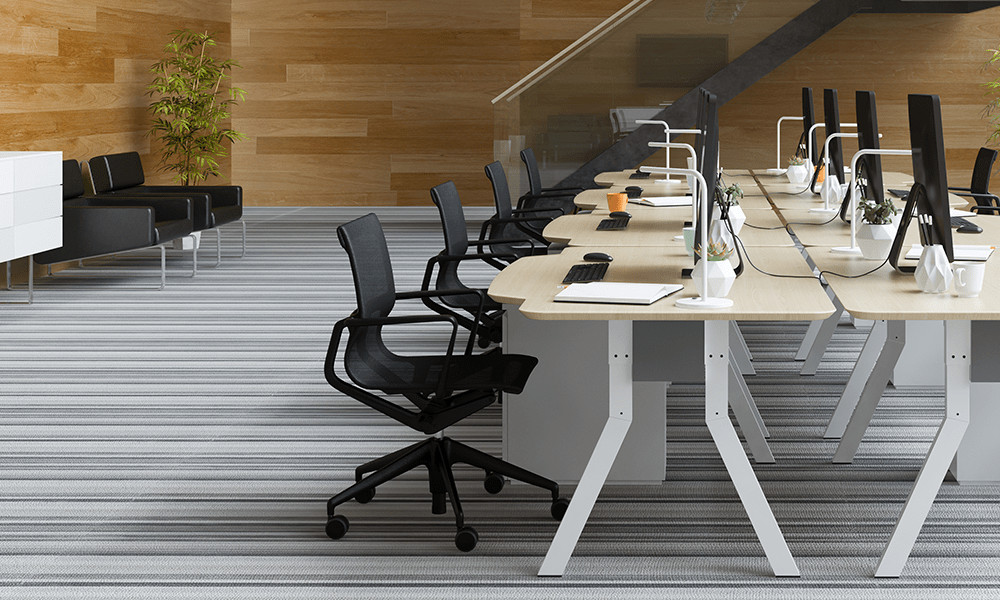 Adelaide Cleaning Services End of Lease Cleaning Carpet Cleaning