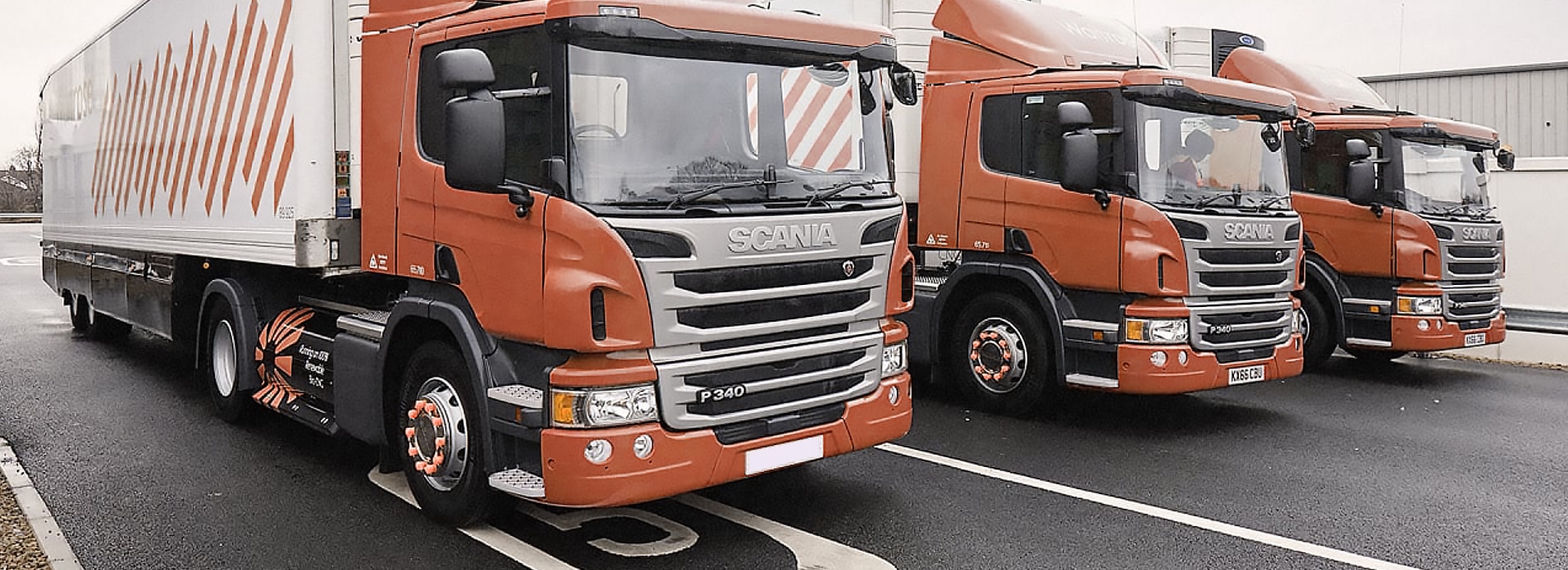 Removalists Canberra