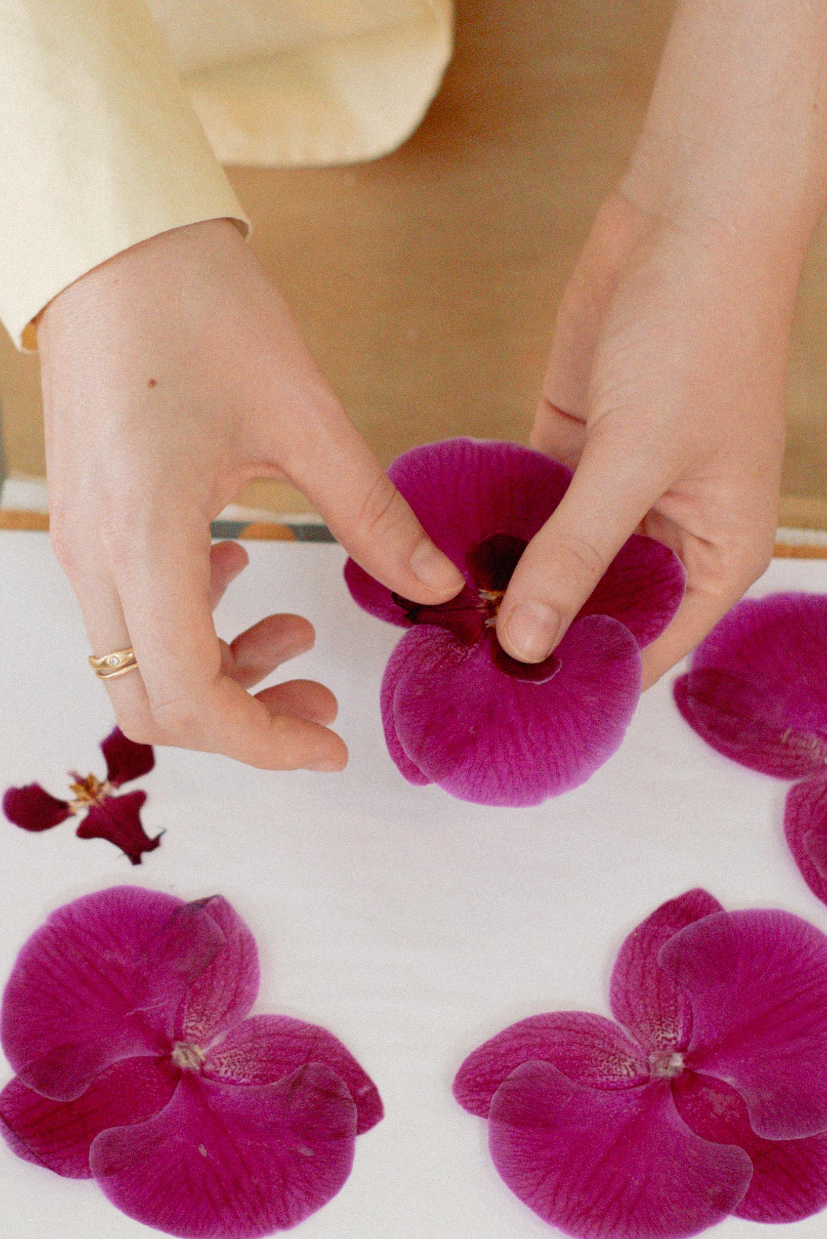 DIY Pressed Flowers Press your own Wedding Bouquet Pressed Studio