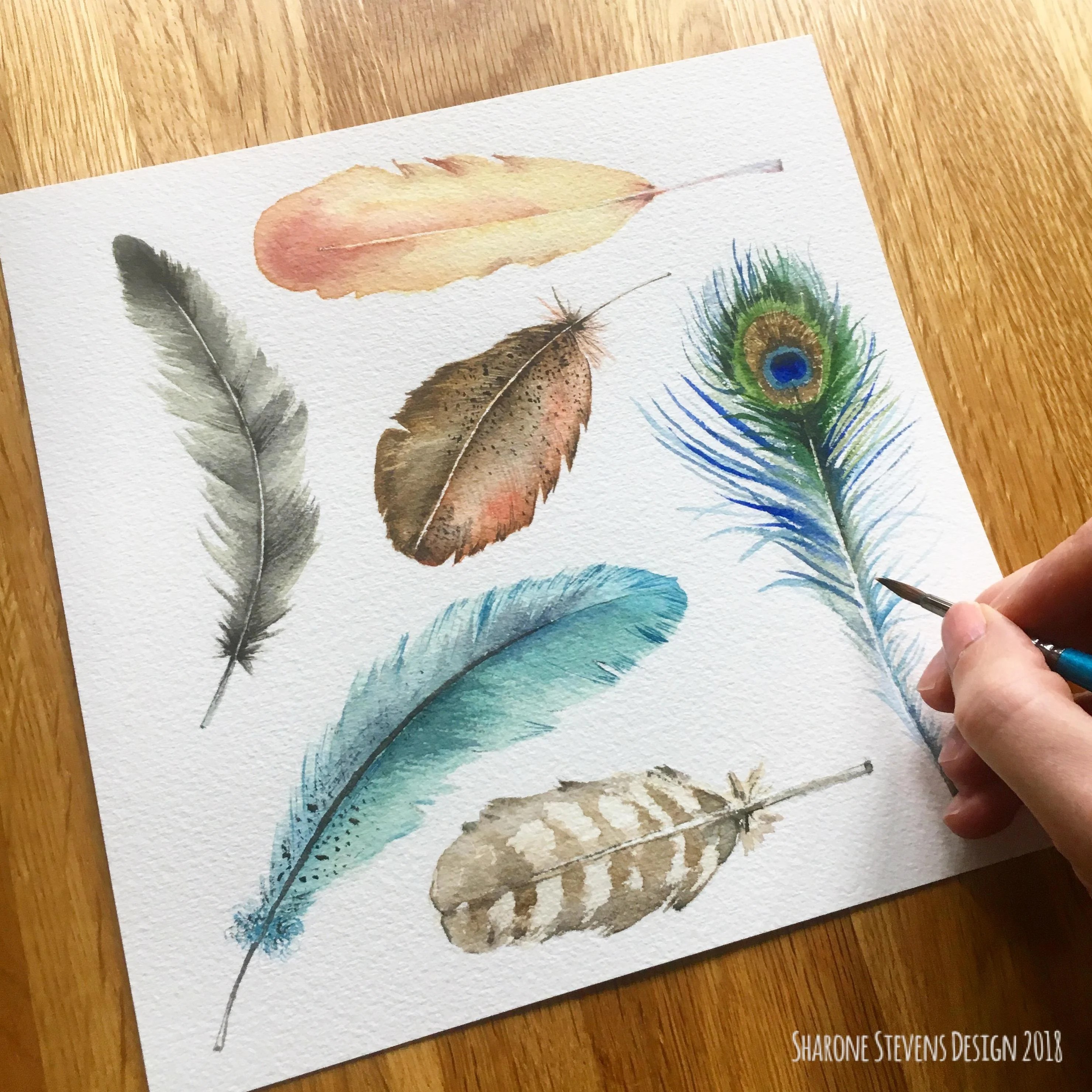 Watercolour Techniques How to Paint Feathers Sharone Stevens Skillshare