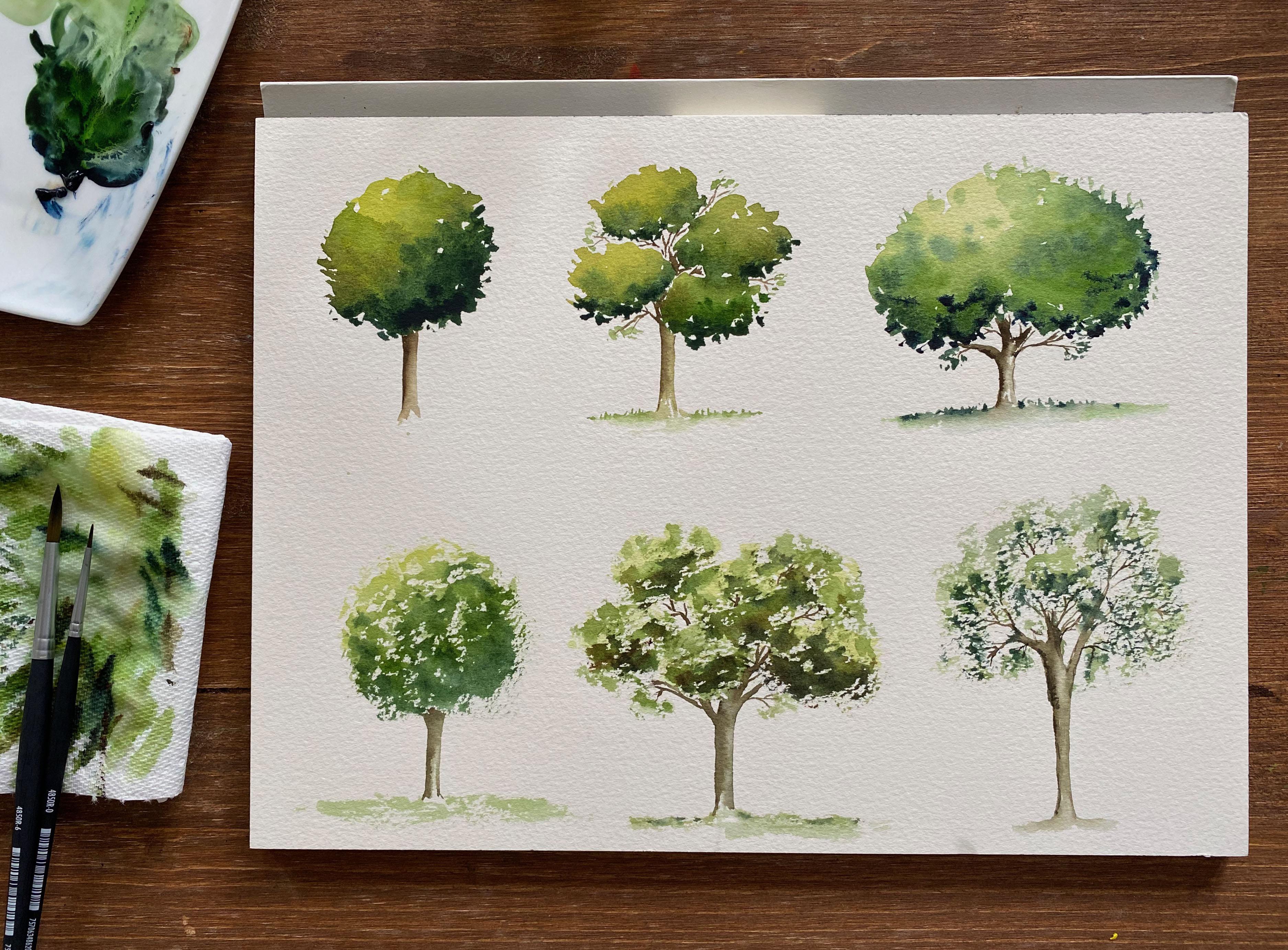 Watercolor Trees Techniques